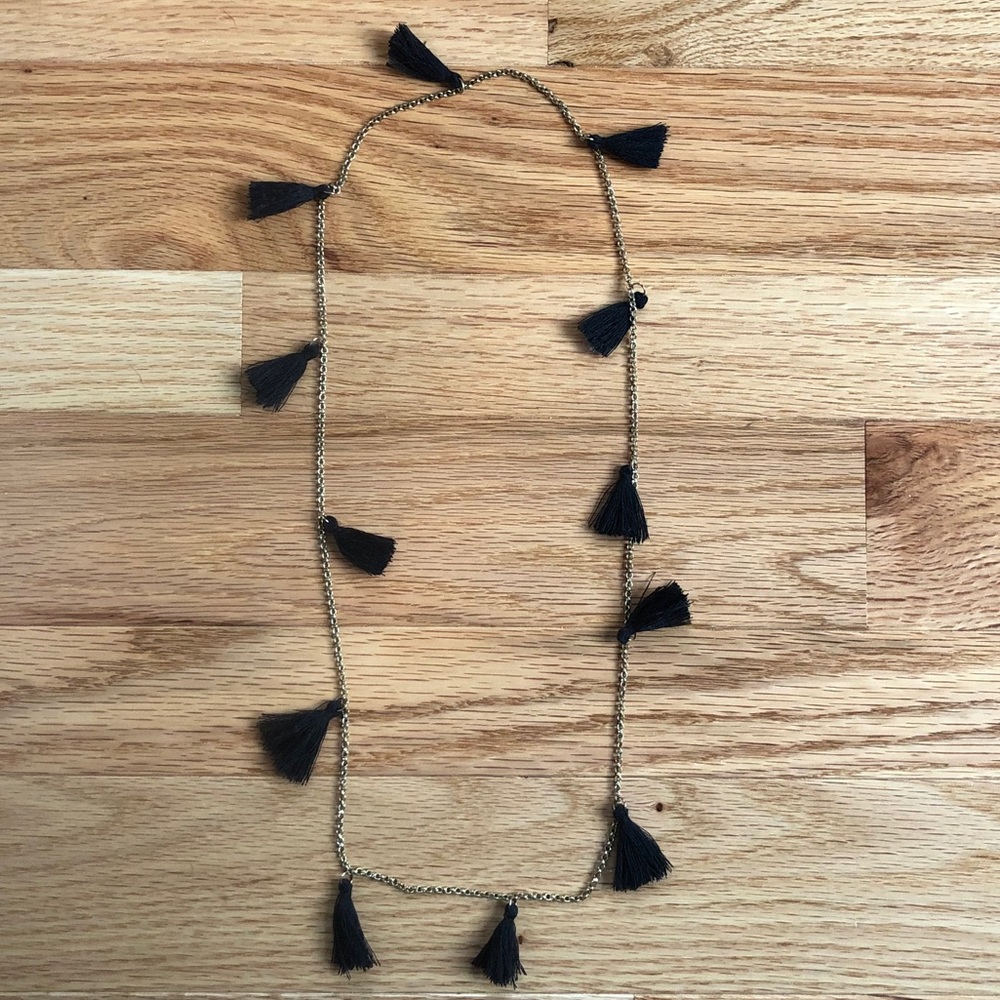 Francesca’s Collections Tassel Necklace